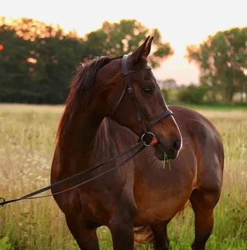 教程学习人物示意图
